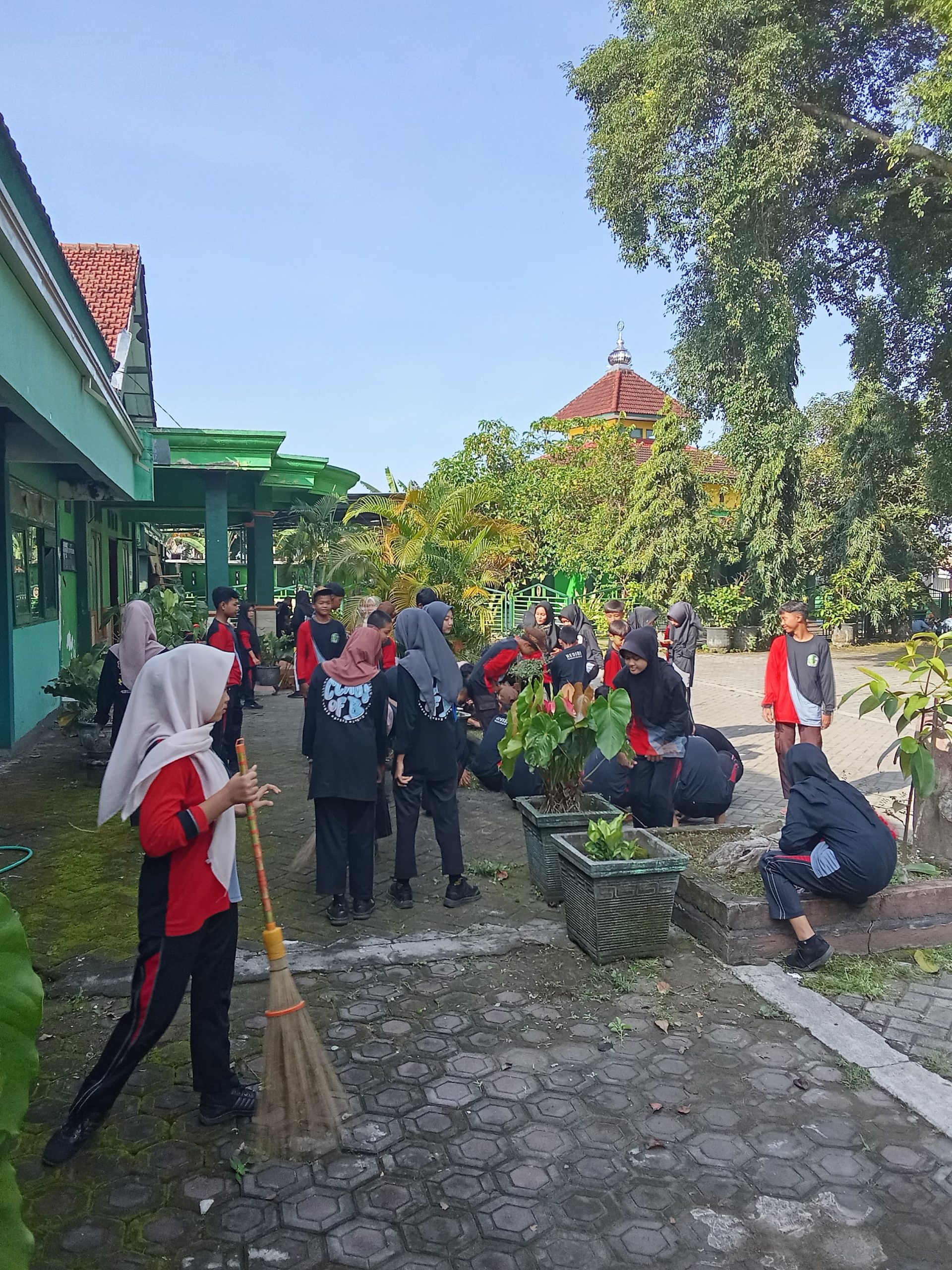 WhatsApp Image 2025-02-21 at 17.56.51